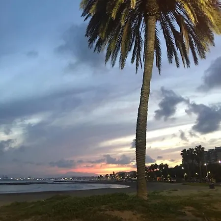 La Biznaga De El Palo Malaga